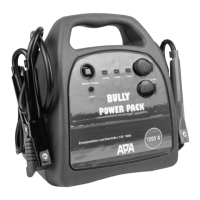 Preview: APA BULLY