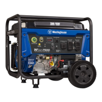Preview: Westinghouse WGen