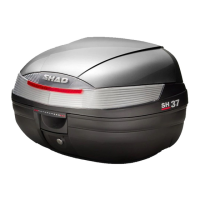 Preview: Shad SH 37