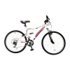 Bicycle Logo
