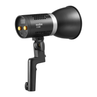 Preview: Godox ML60