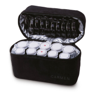 Preview: Carmen TRAVEL SET C2010