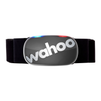 Preview: Wahoo TICKR