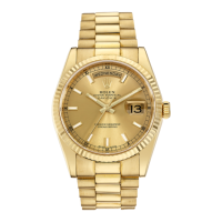 Preview: OYSTER PERPETUAL DAY-DATE Series