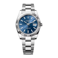Preview: OYSTER PERPETUAL DATEJUST Series