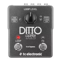 Preview: TC Electronic DITTO X2 LOOPER