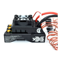 Preview: Castle Creations MAMBA XLX2
