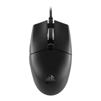 Preview: Corsair KATAR PRO XT