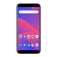 Preview: Blu C6 2019