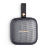 Preview: Harman Kardon NEO