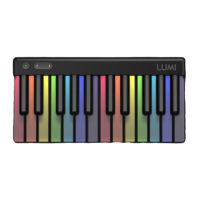 Preview: Roli LUMI