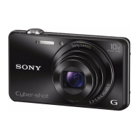 Preview: Sony DSCWX220/B