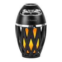 Preview: Limitless Innovations TikiTunes