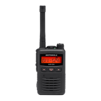 Preview: Motorola EVX S24