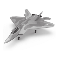 Preview: MODSTER F22 RAPTOR