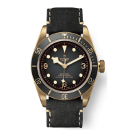 Preview: TUDOR BLACK BAY