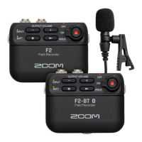 Preview: Zoom F2