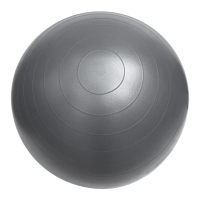 Preview: FitterFirst EXERCISE BALL