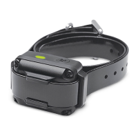 Preview: Dogtra iQ VIBE
