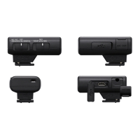 Preview: Sony ECM-W2BT