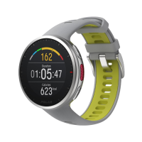 Preview: Polar Electro Vantage V2