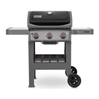 Preview: Weber spirit II