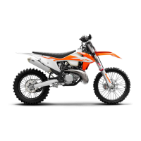 Preview: KTM 250 XC TPI