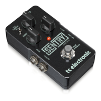 Preview: TC Electronic SENTRY