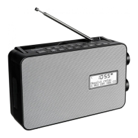 Preview: Panasonic RF-D30BT