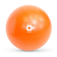 Preview: Merrithew Mini Stability Ball