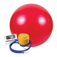 Preview: GoFit Stability Ball