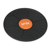 Preview: SPRI Wobble Board