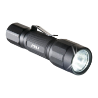 Preview: PELI 2350