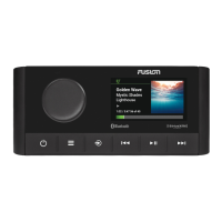 Preview: Garmin FUSION MS-RA210