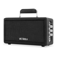 Preview: Victrola ROADIE