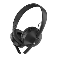 Preview: Sennheiser HD 250BT