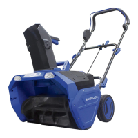 Preview: SNOWJOE 24V-X2-20SB-CT