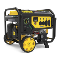 Preview: Champion Global Power Equipment 100891