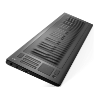 Preview: Roli Seaboard RISE