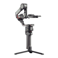 Preview: dji Ronin S2