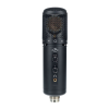 Microphone Logo