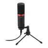 Microphone Logo
