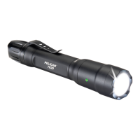 Preview: PELI 7620