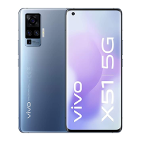 Preview: Vivo X51