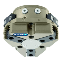 Preview: SCHUNK PZN