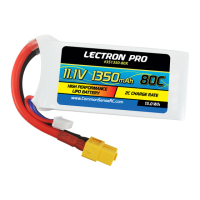 Preview: Common Sense RC LECTRON PRO