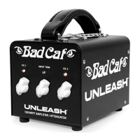 Preview: Bad Cat UNLEASH