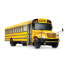 Buses Logo