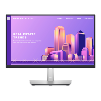 Preview: Dell P2222H