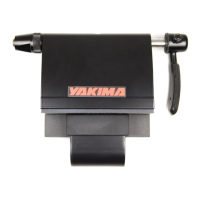 Preview: Yakima BedHead